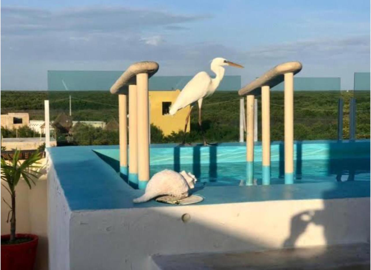 El Corazon Mexican0 Isla Holbox Екстериор снимка